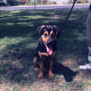 Meet your Posher, Karina